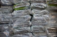 Vokietijoje sulaikytos 35 tonos kokaino